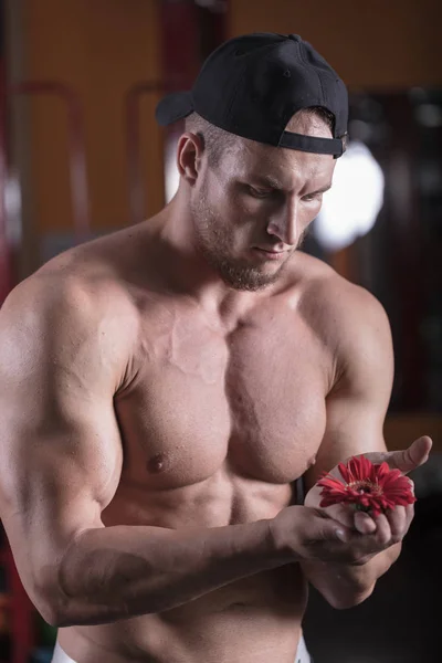 bir adam spor salonunda vücut geliştirme çalışmaktadır, çıtayı yükseltiyor ve kasları trenler.