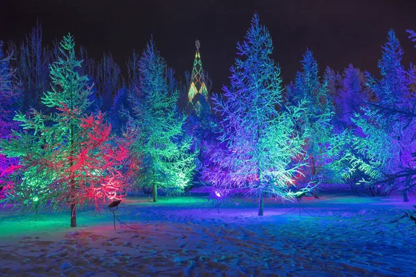 Fundo Inverno Bonito Colorido Fundo Natal Para Cartões Saudação — Fotografia de Stock