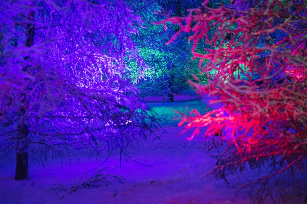 Schöne Und Bunte Winter Hintergrund Weihnachten Hintergrund Für Grußkarten — Stockfoto