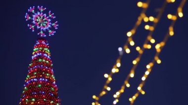 Sihirli Noel ağacı ve fantastik yangınlar. Fantastik Noel ağacı