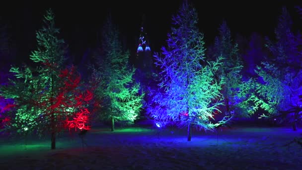 Albero di Natale con bella e luminosa illuminazione. Molto bello sfondo di Natale — Video Stock