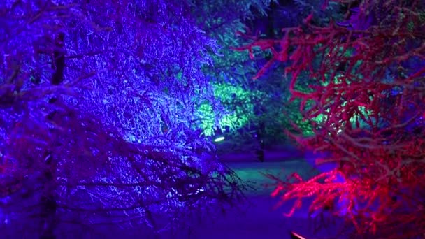 Árbol de Navidad con iluminación hermosa y brillante. Fondo de Navidad muy hermoso — Vídeos de Stock