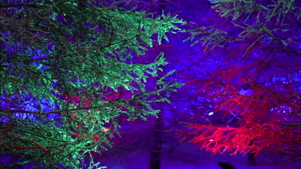 Arbre de Noël avec un éclairage magnifique et lumineux. Très beau fond de Noël — Video