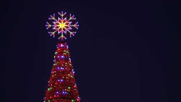 Magico albero di Natale e fantastici fuochi. Fantastico albero di Natale — Video Stock