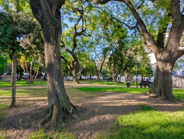 Marques S da Bandeira heykeli Praca Dom Lus I, Lizbon, Portekiz
