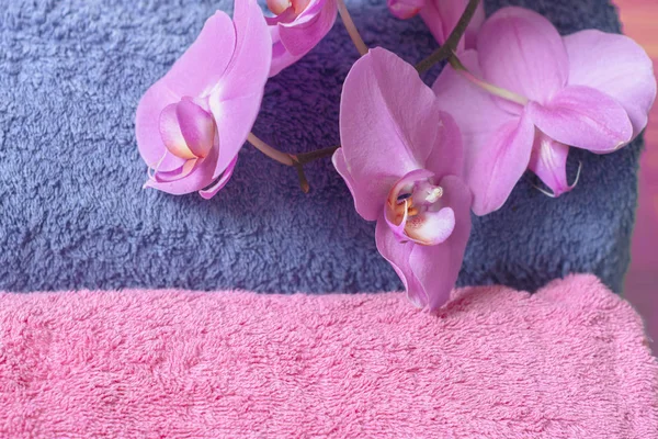 Zachte badstof handdoeken en orchideeën Phalaenopsis in roze — Stockfoto