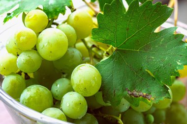 Yaprak kadar yakın üzüm demeti