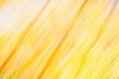 Soyut dijital arkaplan yaratıcı konsept çeşitli çizgiler, dalgalar, köşegenler, ışıltı. Resim teknolojisi. dijital olarak oluşturulmuş resim.