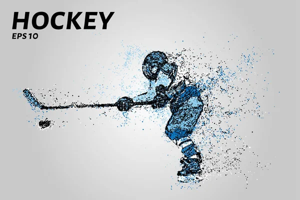 Jugador Hockey Las Partículas Silueta Jugador Hockey Consta Puntos — Vector de stock
