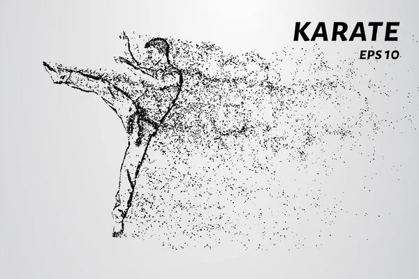 Partikelkarate Karate Man Kimono Spark Ben — Stock vektor