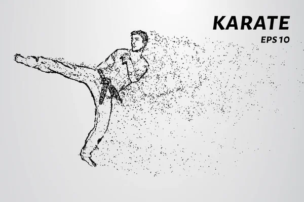 Karaat Van Deeltjes Karate Man Een Kimono Trap Been — Stockvector