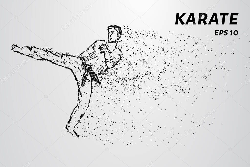 Karate of particles. Karate man in a kimono kick leg.