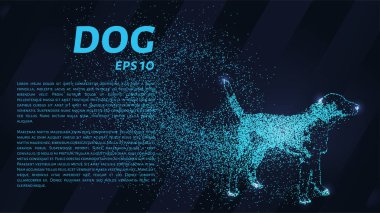 Parçacıkların köpeği. Köpek küçük daireler ve noktalardan oluşur. Vektör illüstrasyonu.
