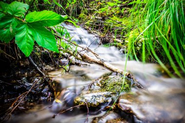 Kazakistan. Burabay Milli Parkı. Şelale.
