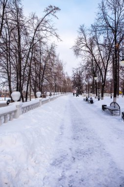 Alexander Bahçe, Tyumen, Rusya Federasyonu