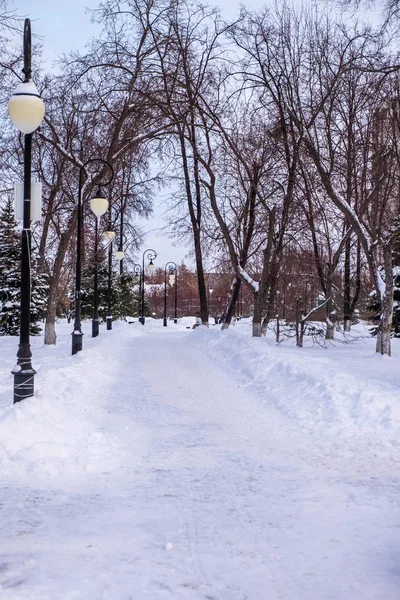 アレクサンドル庭園 チュメニ ロシア ロイヤリティフリーのストック写真