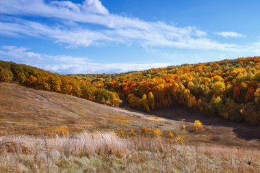 Altın yapraklar ormana inişli çıkışlı tepeler ve sarı sonbahar sıcak güneşli bir gün,