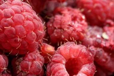 pembe ahududu taze meyveler