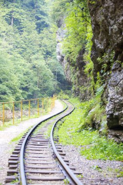 Demiryolu Guam gorge kayalarda