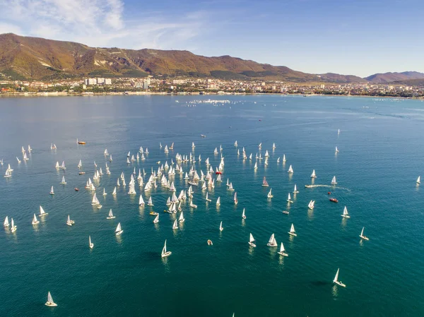 Regata Infantil Baía Gelendzhik Novembro 2018 — Fotografia de Stock