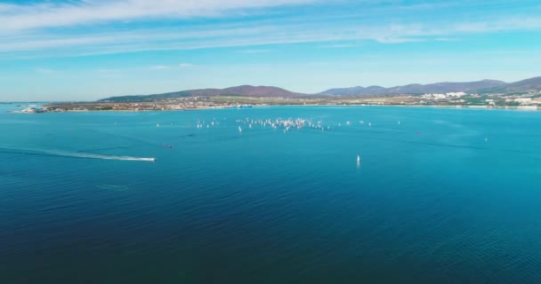 Regata Infantil Gelendzhik Baía Gelendzhik — Vídeo de Stock