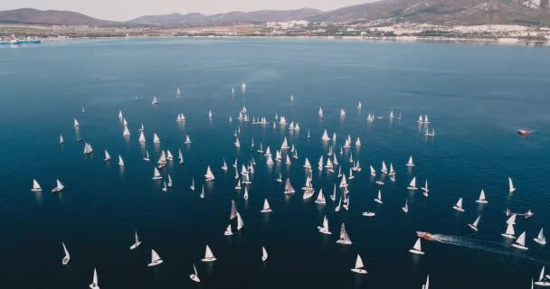 Children Regatta Gelendzhik Gelendzhik Bay — Stock Video