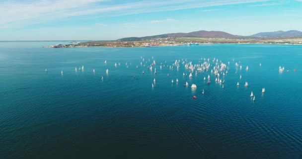Sailing Regatta Gelendzhik Bay Yachts Optimist Cadet Beam — Stock Video