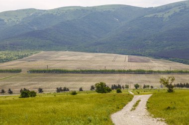dirt road in the Caucasus mountains near Gelendzhik