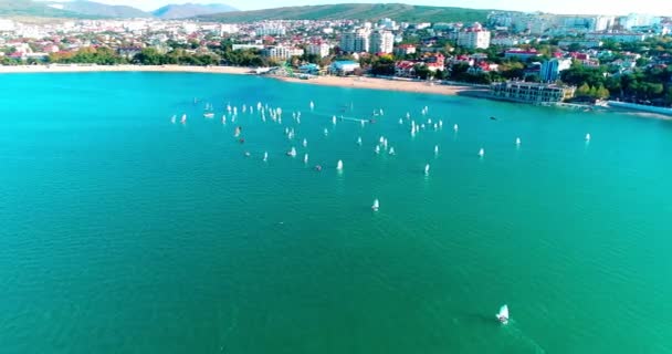 Annual Children Yacht Races Gelendzhik Bay Several Hundred Small Yachts — Stock Video