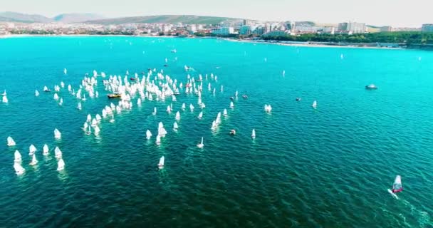 Årliga Barnens Yacht Tävlingar Gelendzhik Bay Flera Hundra Små Båtar — Stockvideo