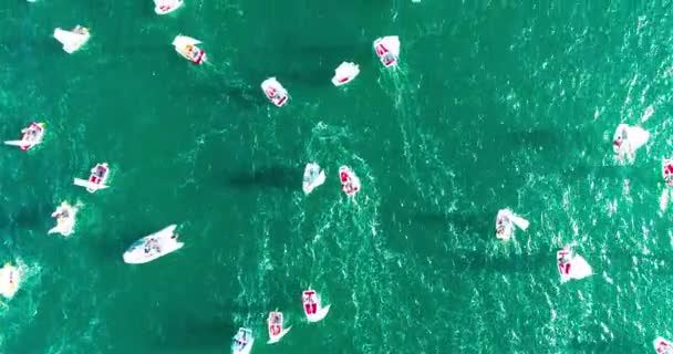 毎年恒例の子供のソチ湾のヨットレース 数百の小さいヨット レガッタに参加します 学齢期の子供は 帆船のレースで競い合います ゲレンジク リゾートは山やヨットの海です ゲレンジク ソチの堤防 — ストック動画