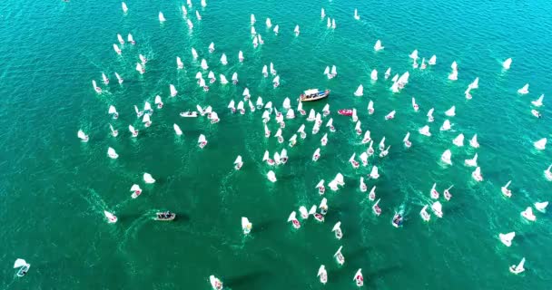 Årliga Barnens Yacht Tävlingar Gelendzhik Bay Flera Hundra Små Båtar — Stockvideo