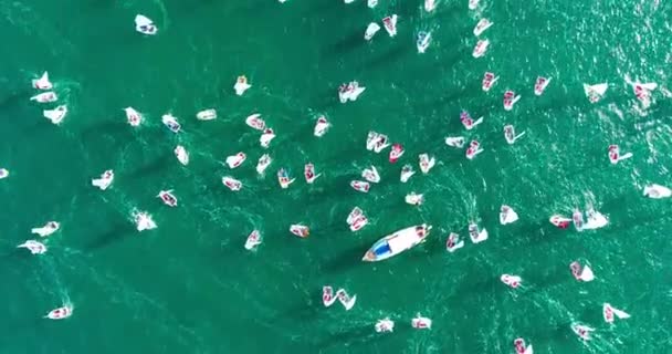 Carreras Anuales Yates Infantiles Bahía Gelendzhik Varios Cientos Pequeños Yates — Vídeo de stock