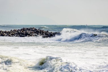Karadeniz 'de güçlü ve tehlikeli bir fırtına. Gelendzhik Gelendzhik Körfezi 'nde güzel ve büyük fırtına dalgalanma. deniz köpüğü, dalga Crests, açık yeşil su. Unsurların öfkesi, dalgaların paralel hatları, fırtına ve tehlike