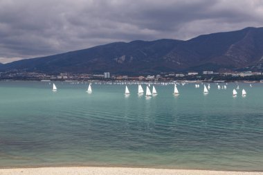 Gelendzhik Beldesi. Yıllık çocuk yat yarışı. Tatil ve dağların arka planda Gelendzhik Körfezi'nde beyaz yelkenli birçok yat. Markoth sırtı. Rıhtımda seyirci, beyaz korkuluk yaslanmış.