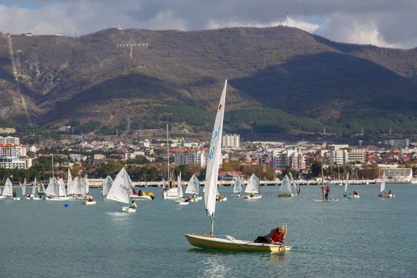 Resort Gelendzhik Regata Anual Iates Para Crianças Muitos Iates Com — Fotografia de Stock