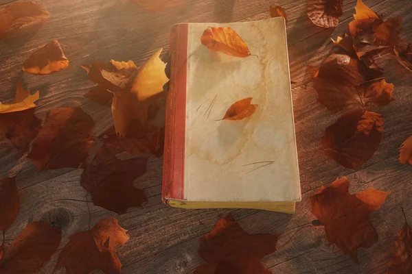 Rendering Old Book Wooden Table Leaves Beautiful Autumn Sunlight — Stock Photo, Image