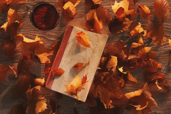 Rendering Old Book Cup Tea Wooden Table Leaves Beautiful Autumn — Stock Photo, Image