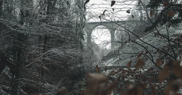 Ülő Híd Télen Hóval Gallen — Stock Fotó