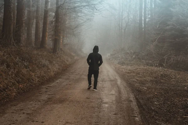 Ein Einzelner Junge Spaziert Auf Einem Feldweg Durch Eine Waldlandschaft — Stockfoto