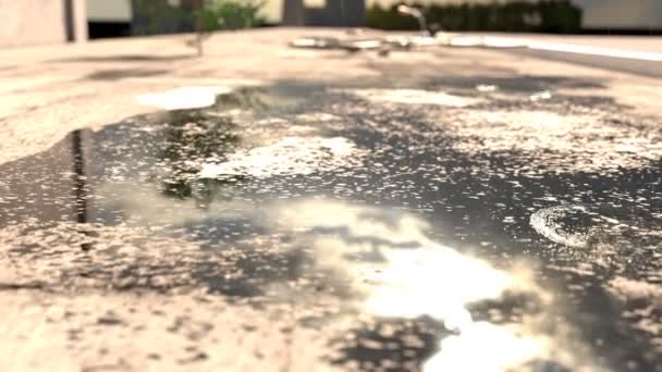 Gotas Chuva Caindo Poça Frente Luz Sol Turva Cidade — Vídeo de Stock