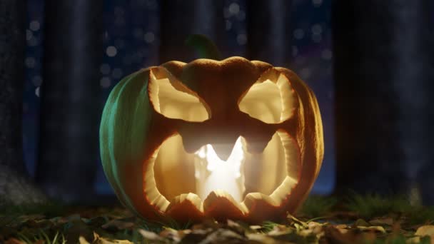 Lucente Halloween Jack Lanterna Zucca Oscura Foresta — Video Stock