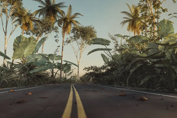 Renderização Uma Estrada Floresta Selva Com Linha Amarela Centro — Fotografia de Stock