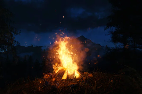 在雾蒙蒙的山林和针叶树前 用火花和微粒浇筑大型篝火3D — 图库照片