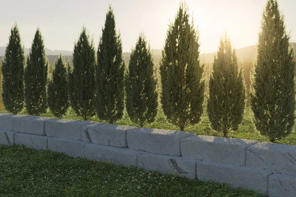 3d rendering of a green garden bounded by thuja treeline and granite ashlars