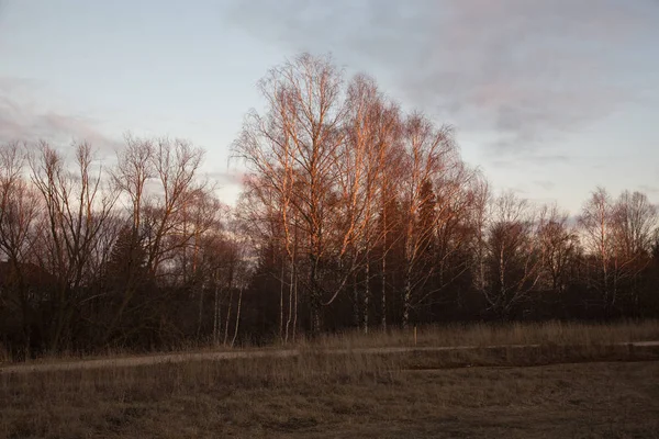 Hus Den Ryska Byn — Stockfoto