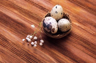 Yuvada bıldırcın yumurtası ve ahşap bir yüzeyde söğüt yumurtaları