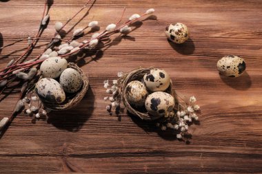 Yuvada bıldırcın yumurtası ve ahşap bir yüzeyde söğüt yumurtaları