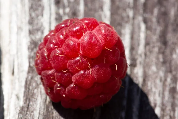 Bir Ahududu Berry Ahşap Kurulu Makro Kaldırıldı Yatıyor — Stok fotoğraf