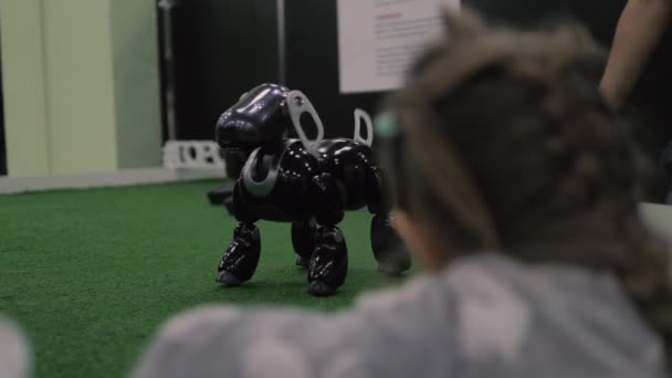 Chica viendo en juguete programado perro-robot. Mascota inteligente interactiva . — Vídeos de Stock